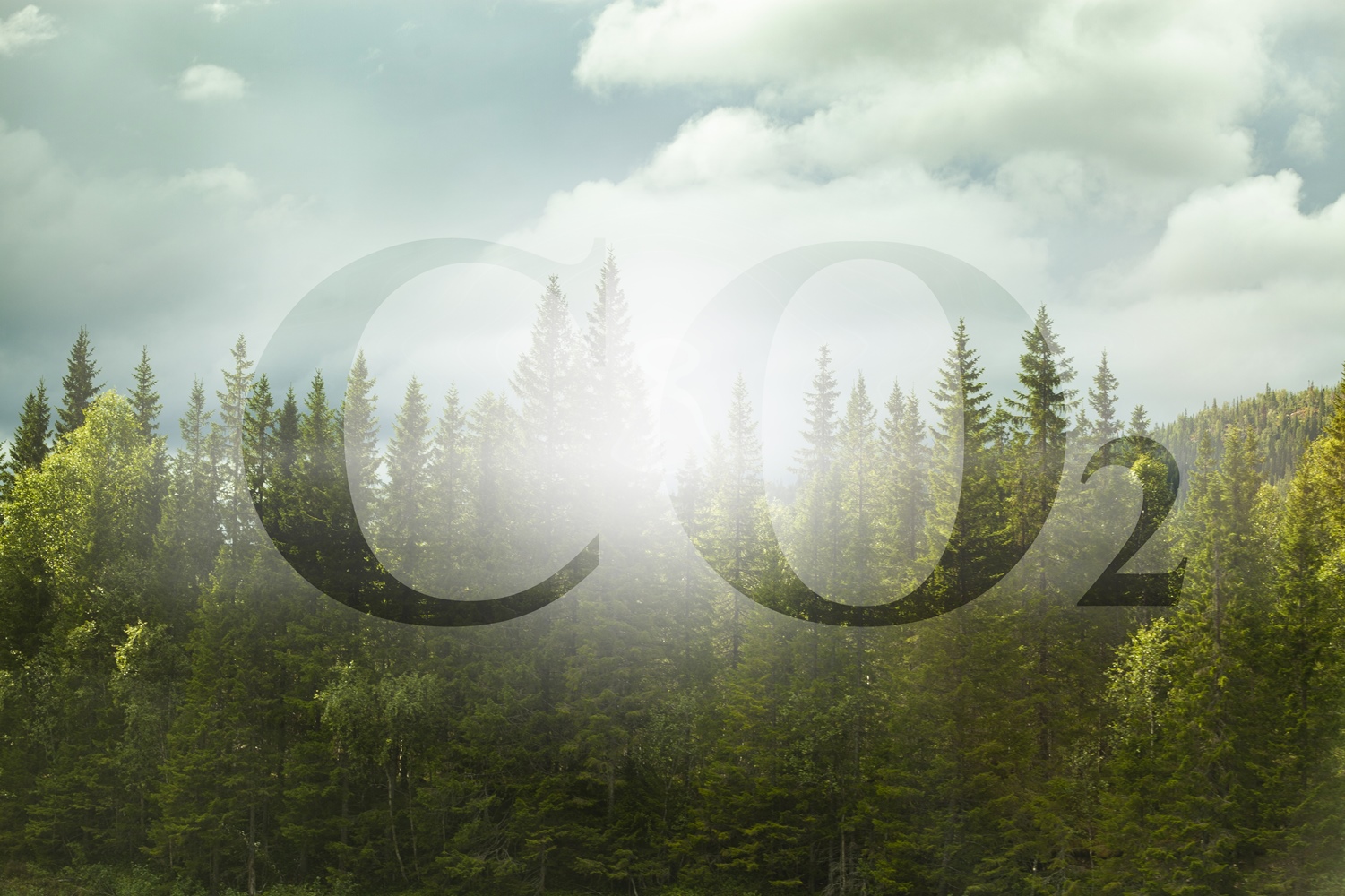 CO2 neutraal